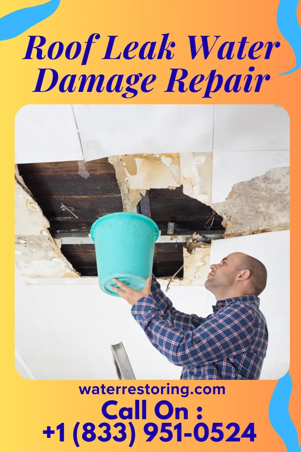 Roof Leak Water Damage Repair in Novato, CA